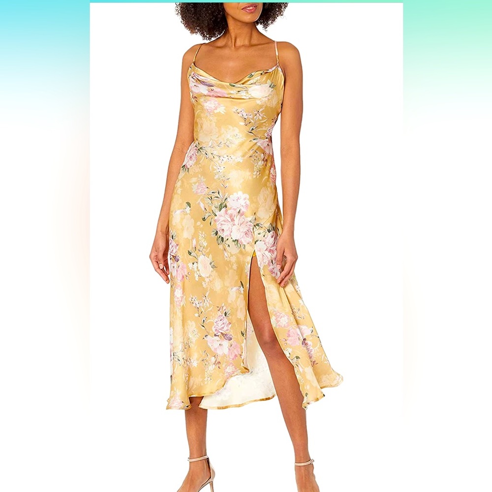 ASTR the label Gaia Floral Dress